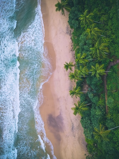 海滩鸟瞰照片